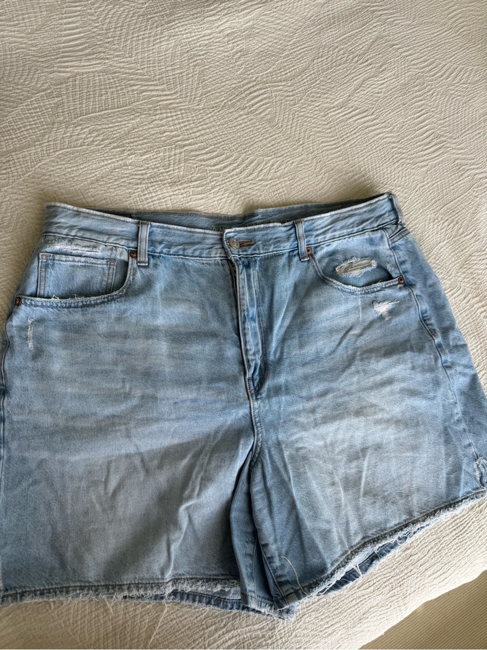 American Eagle Outfitters Light Blue Denim Shorts